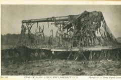 Camouflaged 3 inch anti-aircraft gun