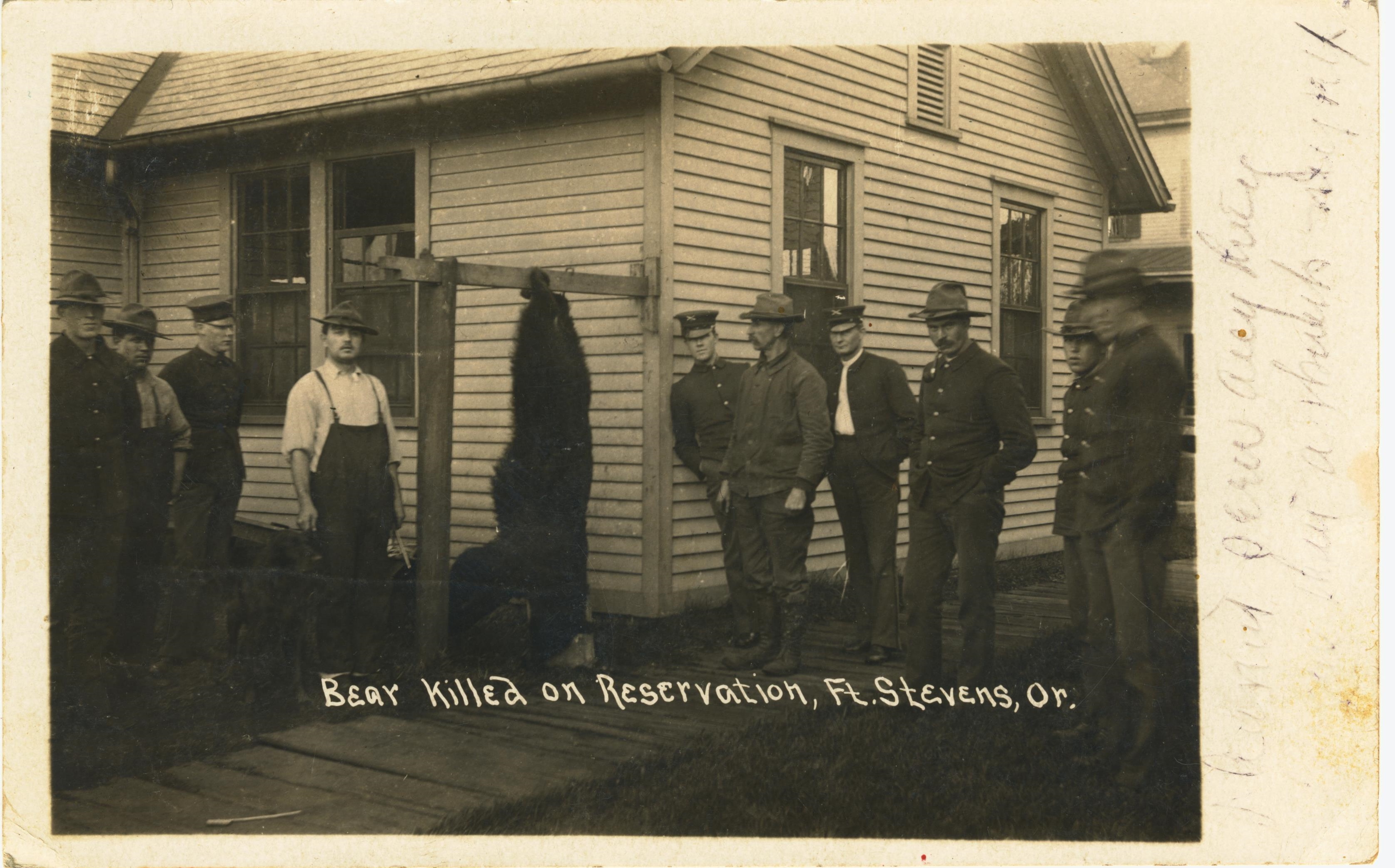 Bear Killed On Reservation Fort Stevens OR