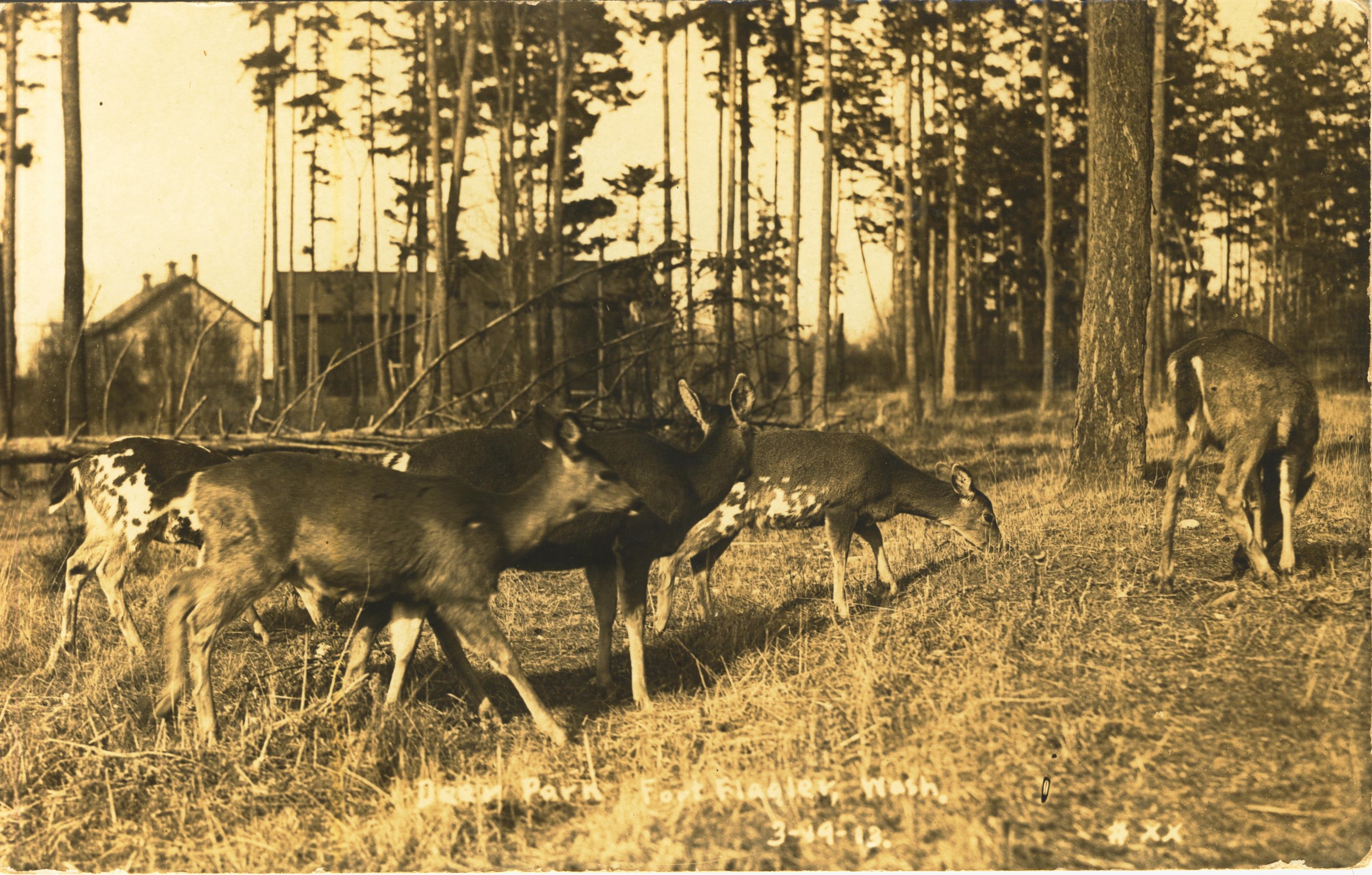 Deer Park Fort Flagler Wash 3 19 13