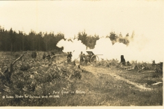 Field Guns In Action Torka's Studio