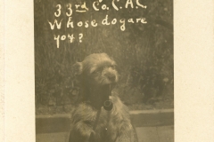 I Am Private Mickey 33rd CAC Fort Columbia Wash 21 Sept 1909