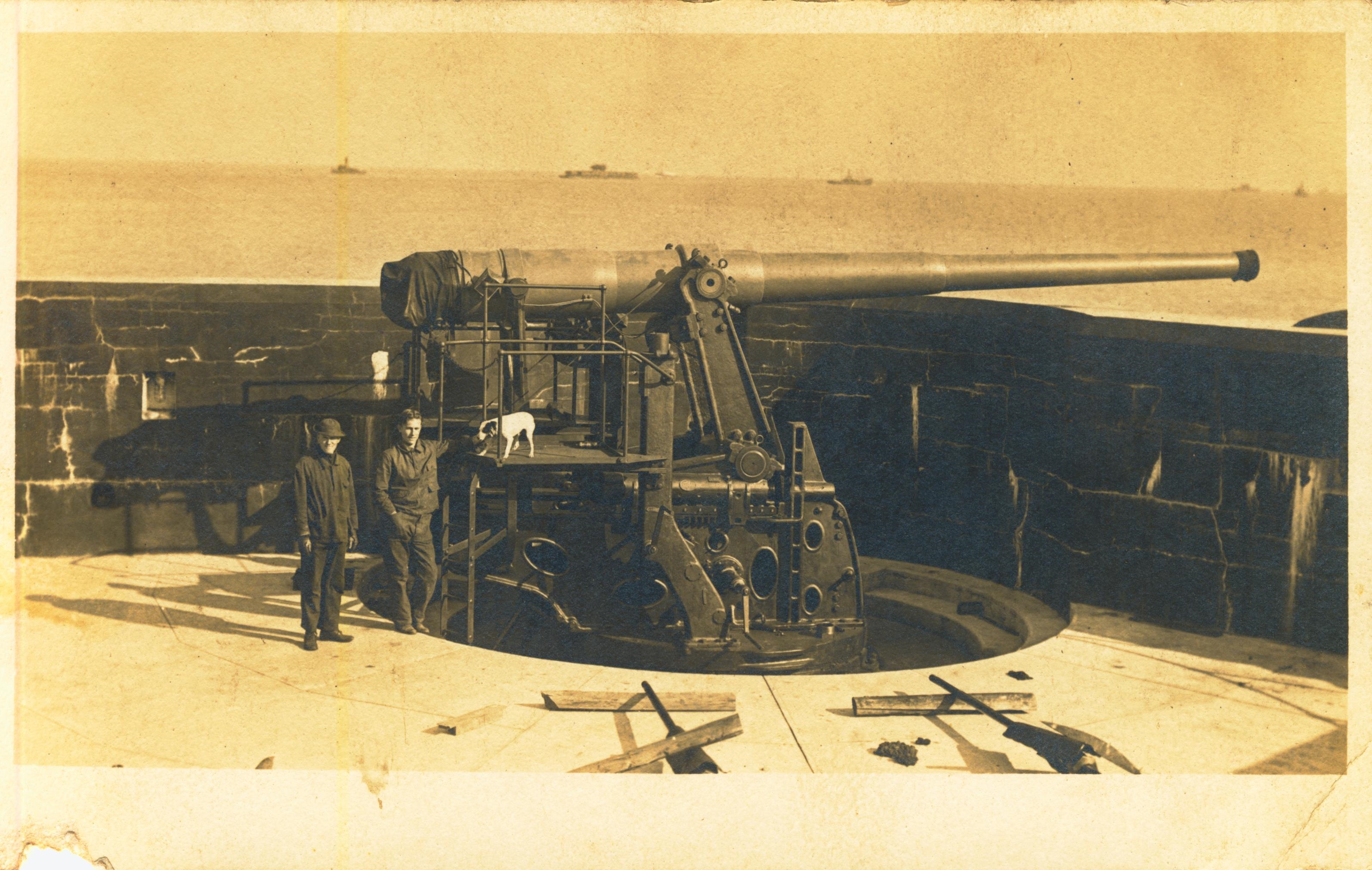Six inch gun and dog