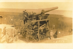 Big disappearing gun