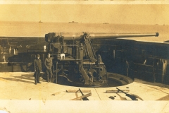 Six inch gun and dog