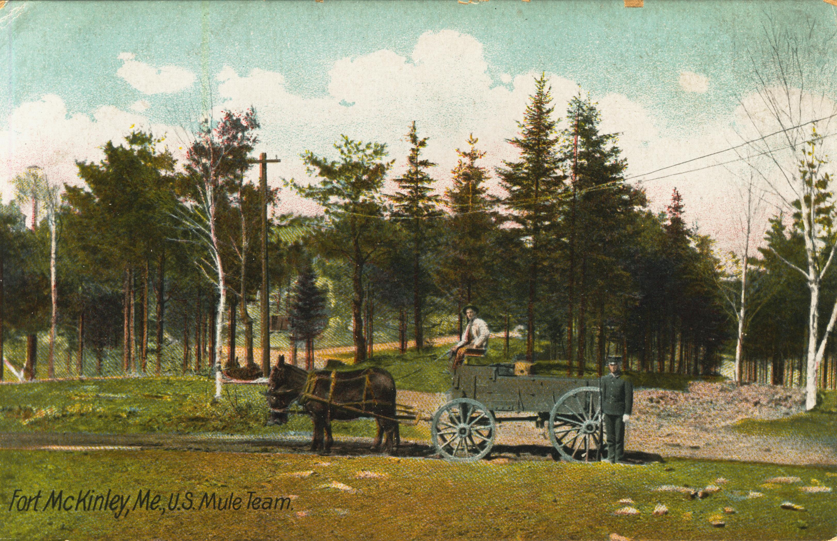 Fort McKinley ME U.S. Mule Team