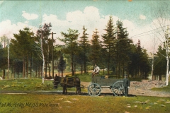 Fort McKinley ME U.S. Mule Team