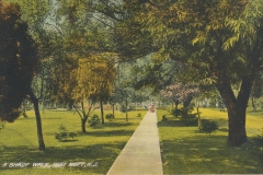 A shady walk Fort Mott