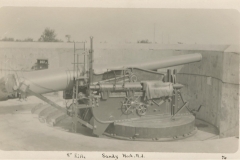 Disappearing Gun Sandy Hook 1