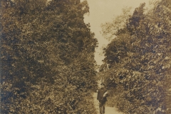 Lovers Lane