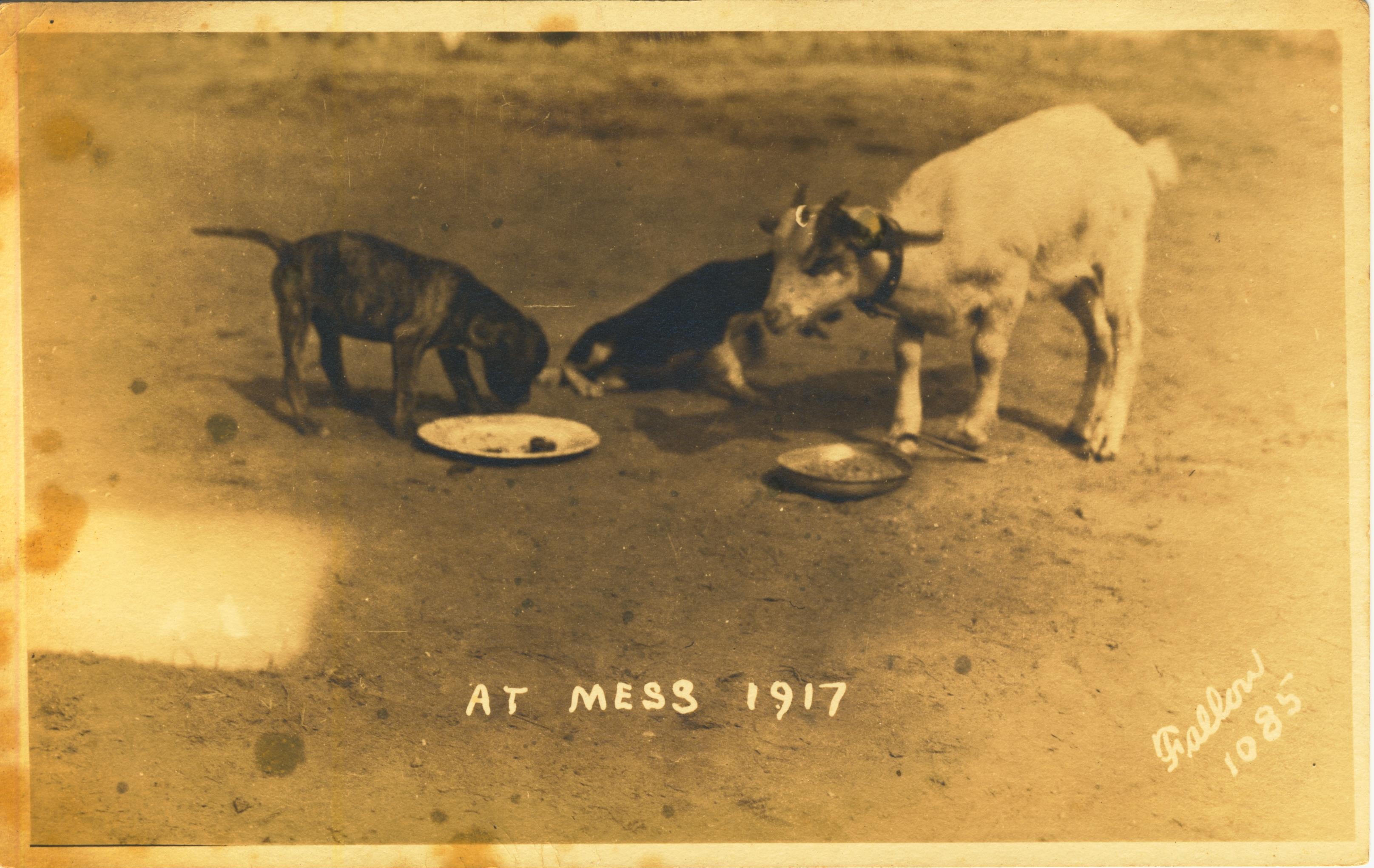 At Mess 1917