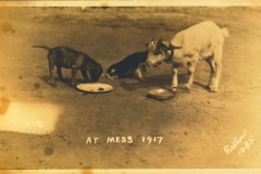 At Mess 1917