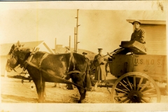 Mule Team likely taken at Fort Terry NY soldier is Guy Boyd